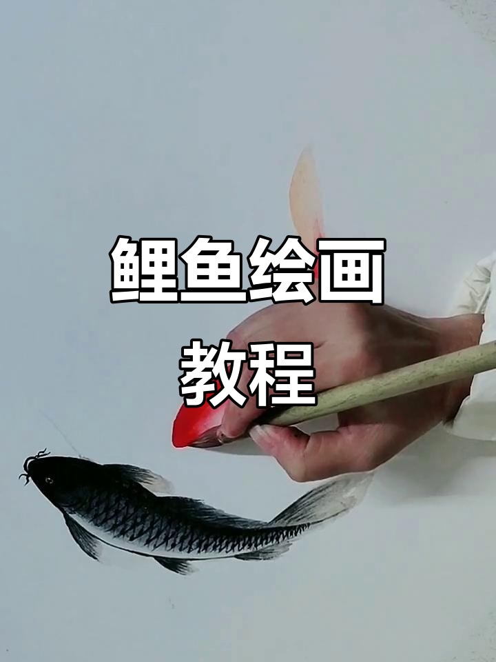 教你一步步画鲤鱼,轻松掌握!