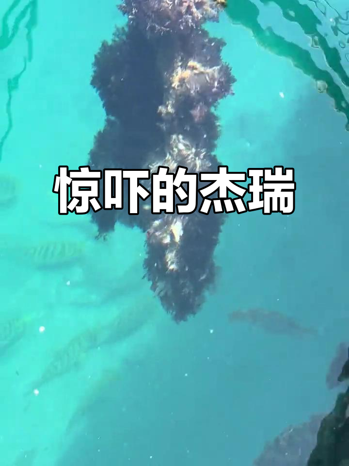 杰瑞惊讶表情包:鱼里竟然有惊喜!