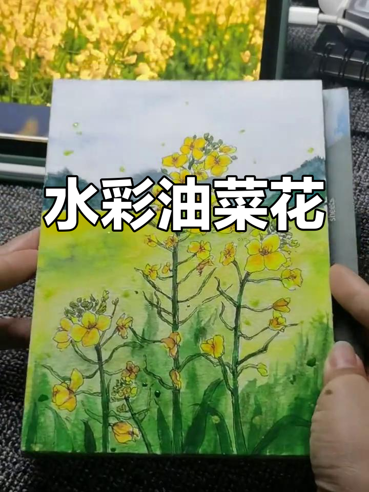 油菜花盛开,一起用水彩画美丽春天