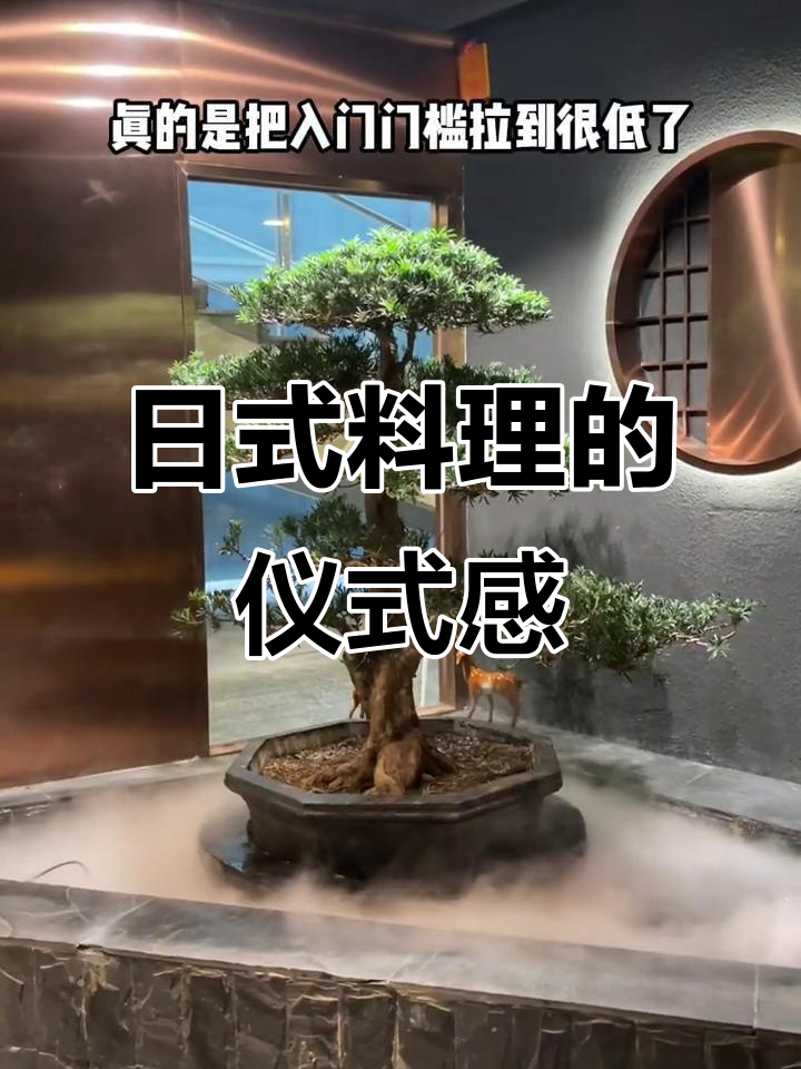享受一场精致日料,午餐也能变得仪式感满满!