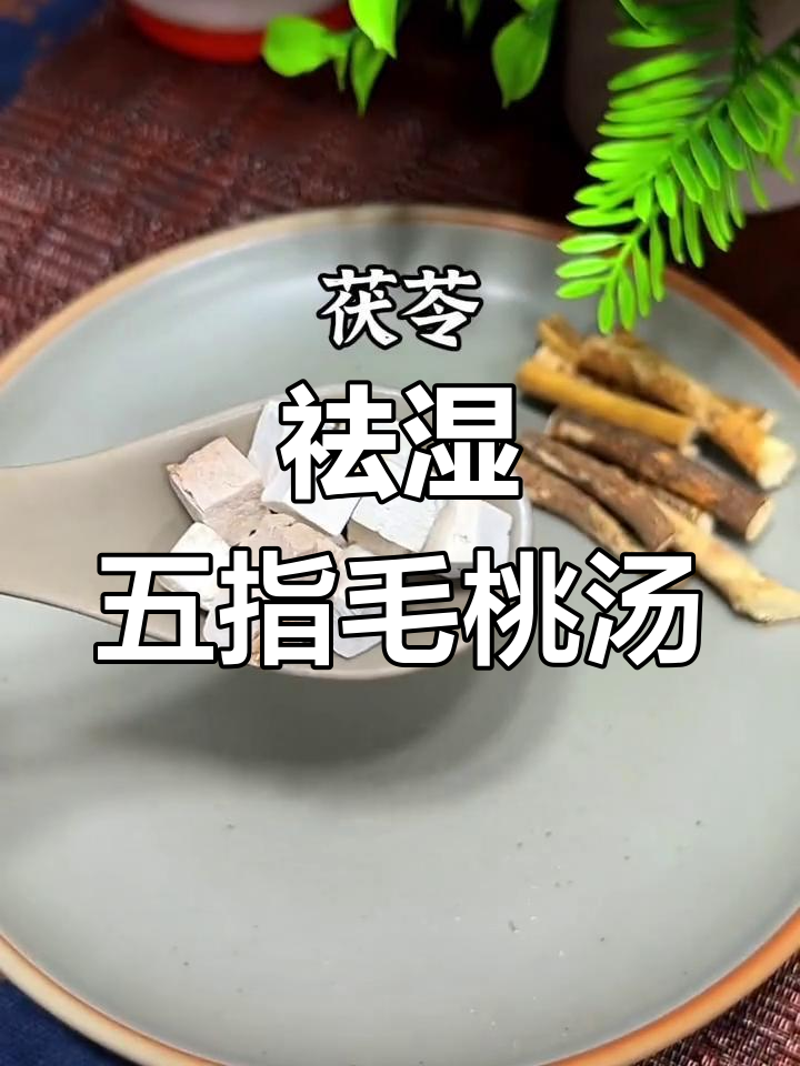 五指毛桃土茯苓鸡汤,湿气去除秘方