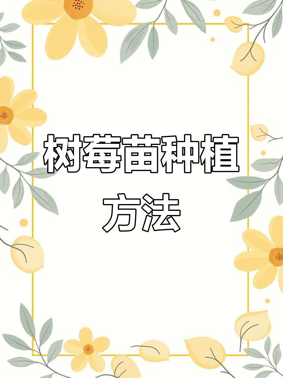 树莓苗种植技巧:从缓苗到施肥全攻略