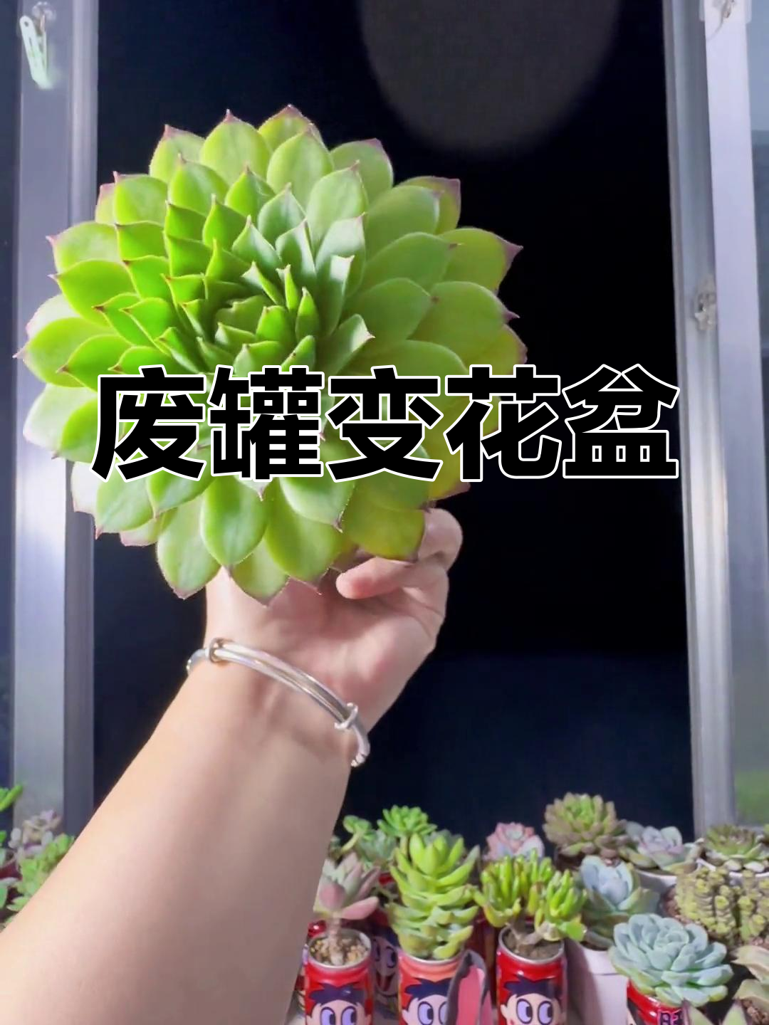 废旧八宝粥罐变身多肉花盆,创意无限