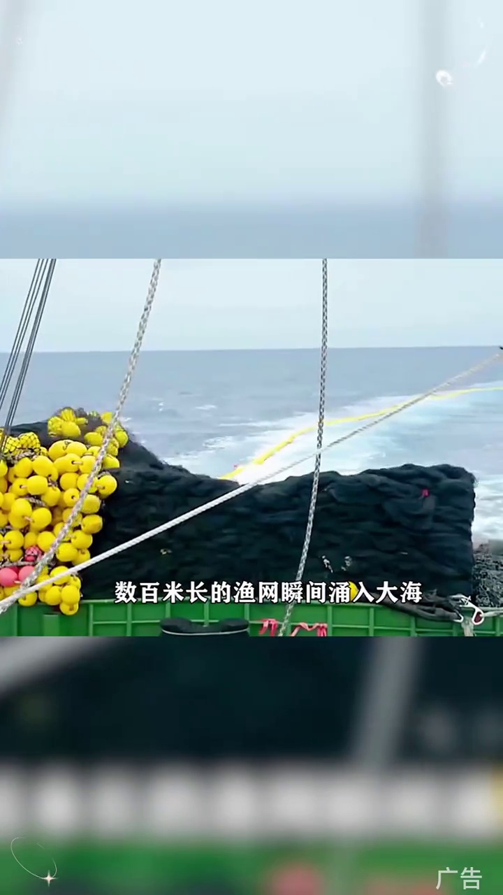 带鱼段 带鱼罐头