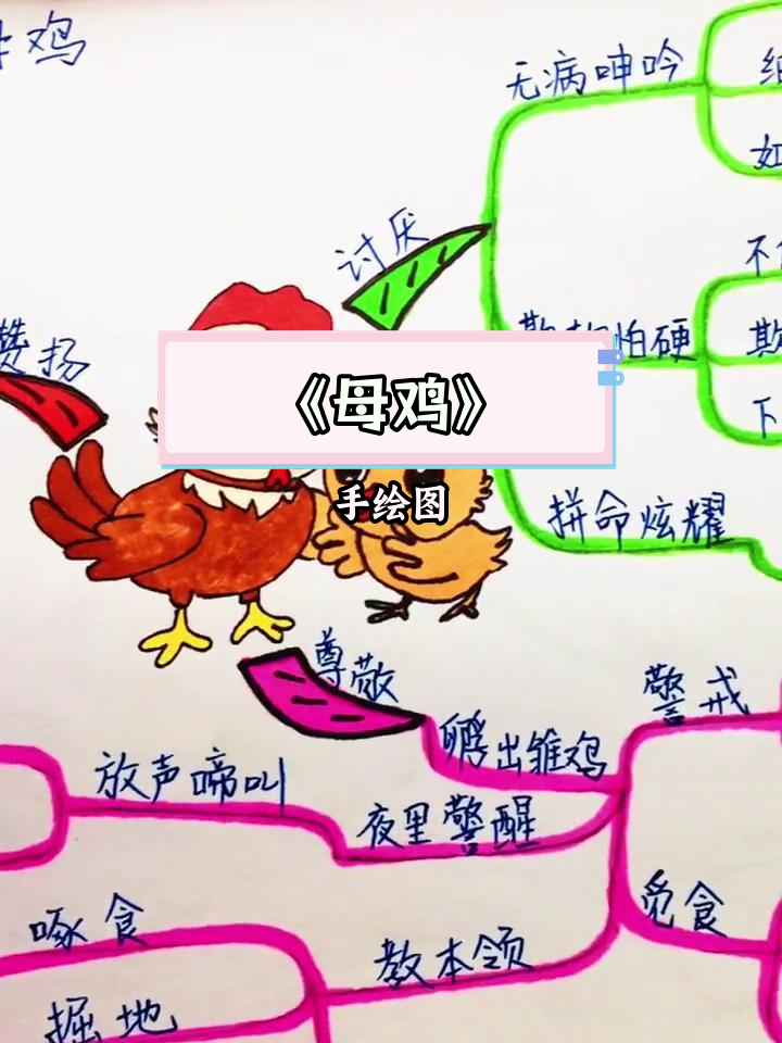 四年级语文《母鸡》思维导图解析