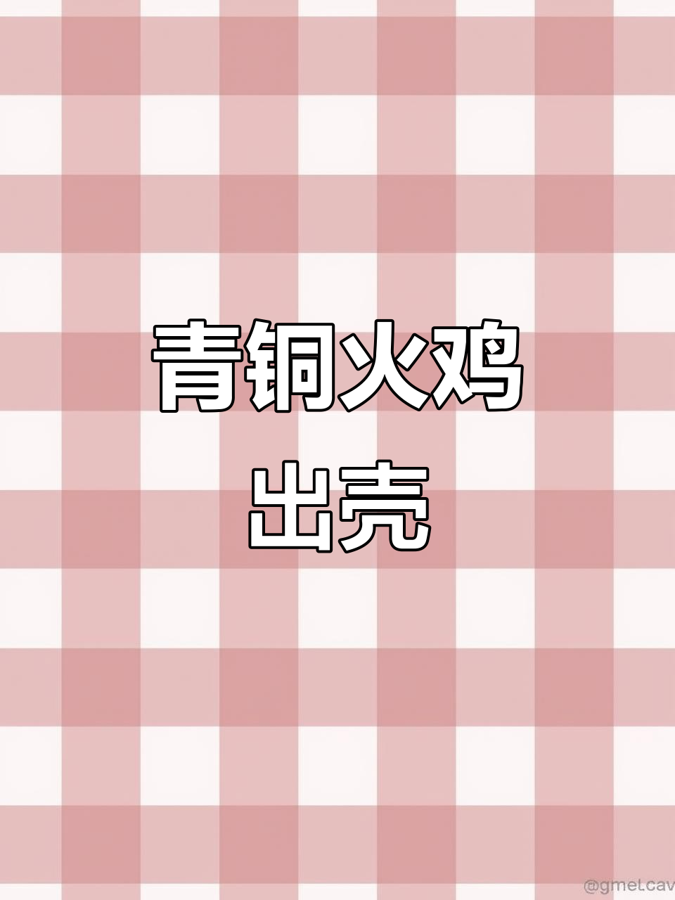火鸡苗出壳，全国各地适宜饲养