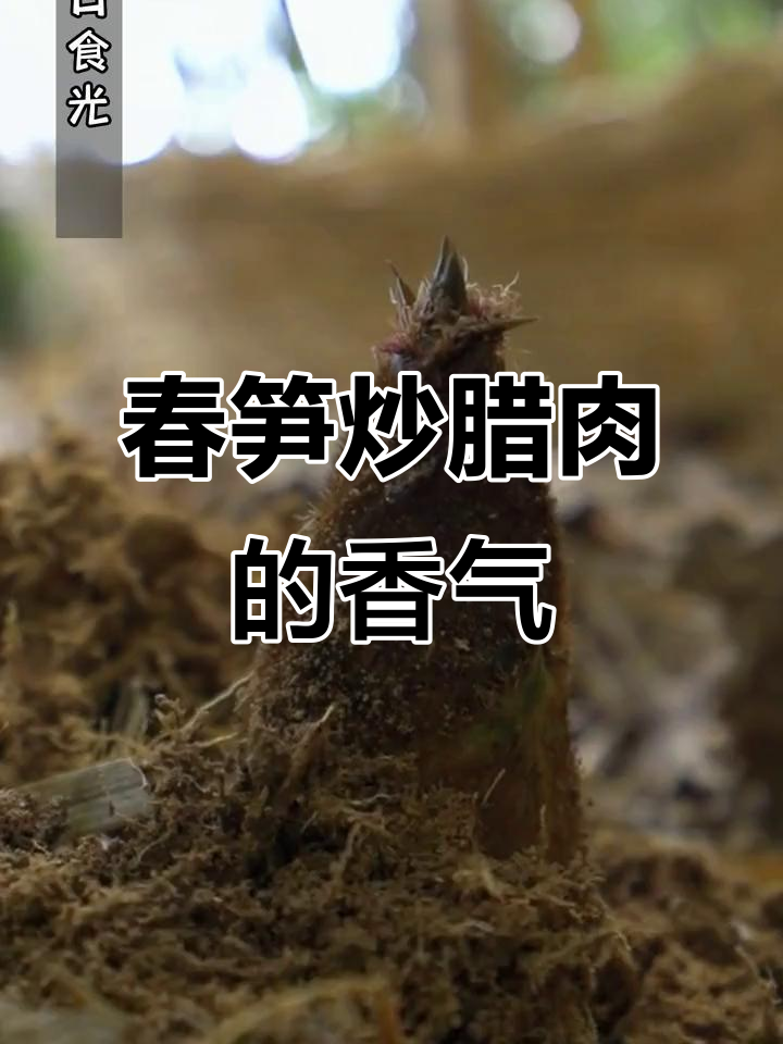 春天味道大揭秘，竹笋炒腊肉让人停不下来