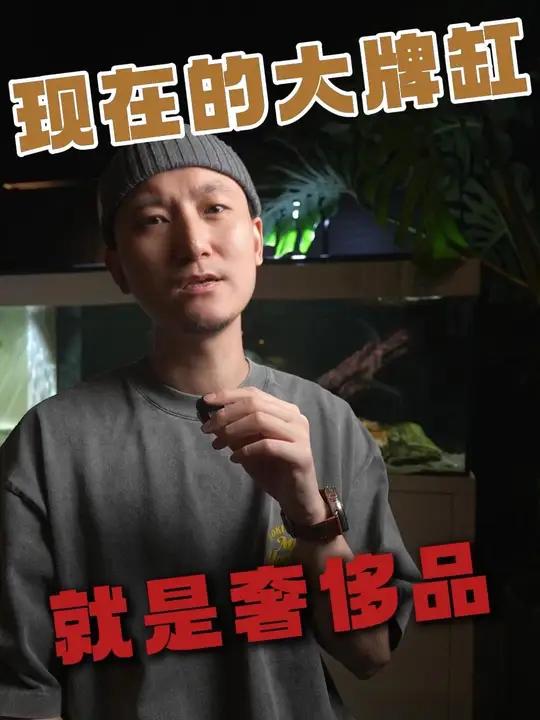 大牌鱼缸就是奢侈品
