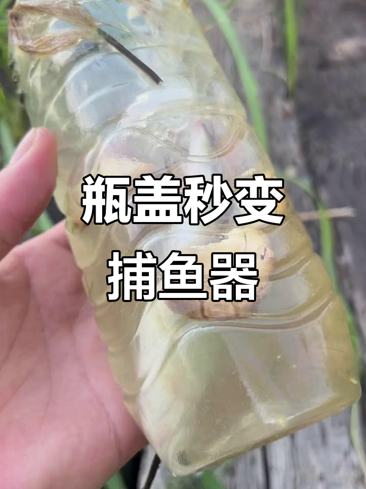 矿泉水瓶变捕鱼神器,轻松捕捉大鱼!