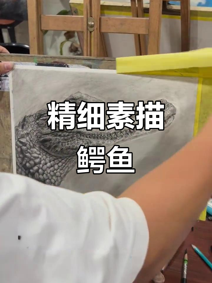 精微素描：鳄鱼哥的独特技艺
