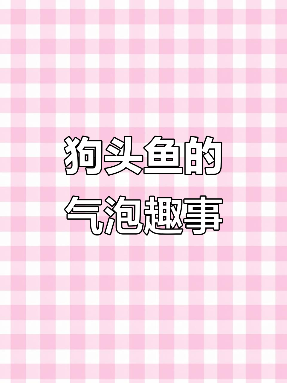 狗头鱼打气太搞笑,谁敢拿针扎他?