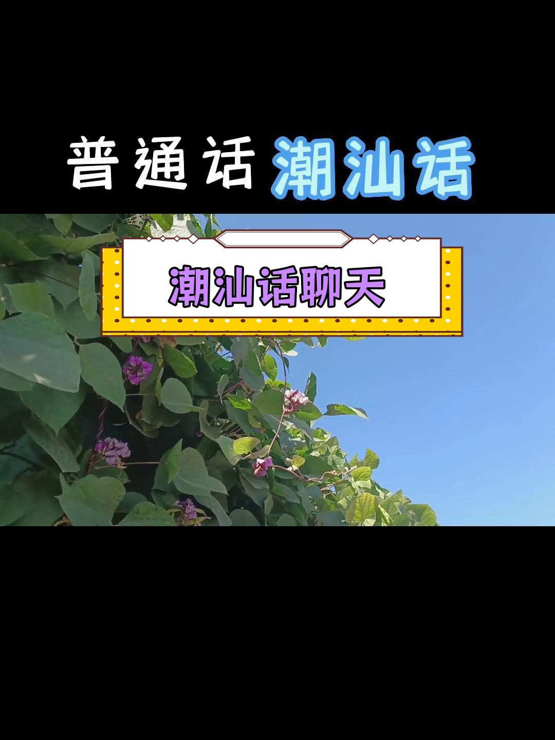 潮汕方言日常对话