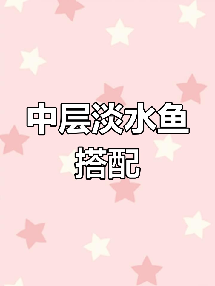 淡水观赏鱼混养推荐