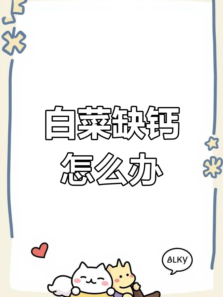 白菜干烧心病防治秘诀:补钙从连坐期开始