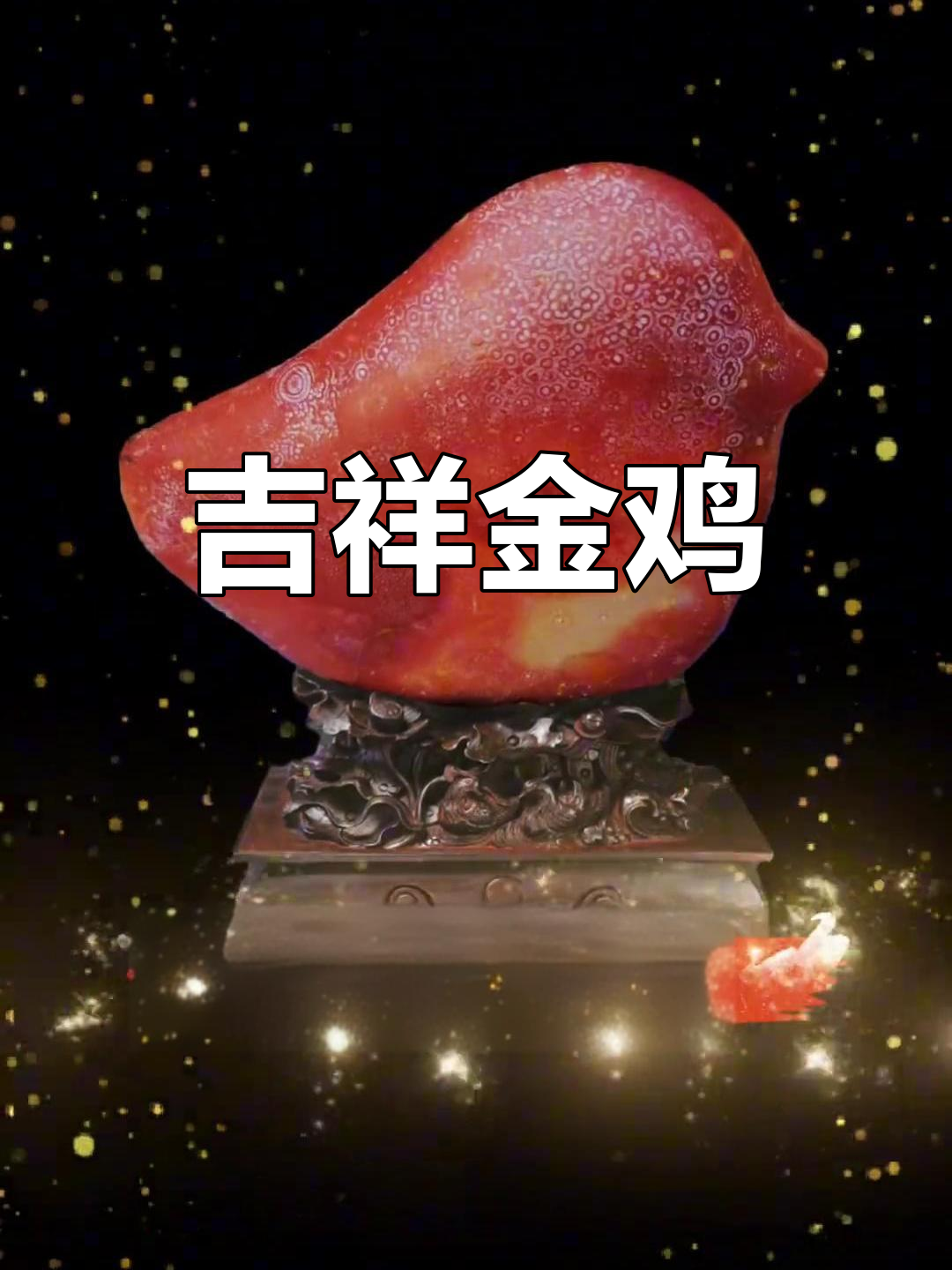 内蒙古金鸡,富态可爱,象征吉祥与好运