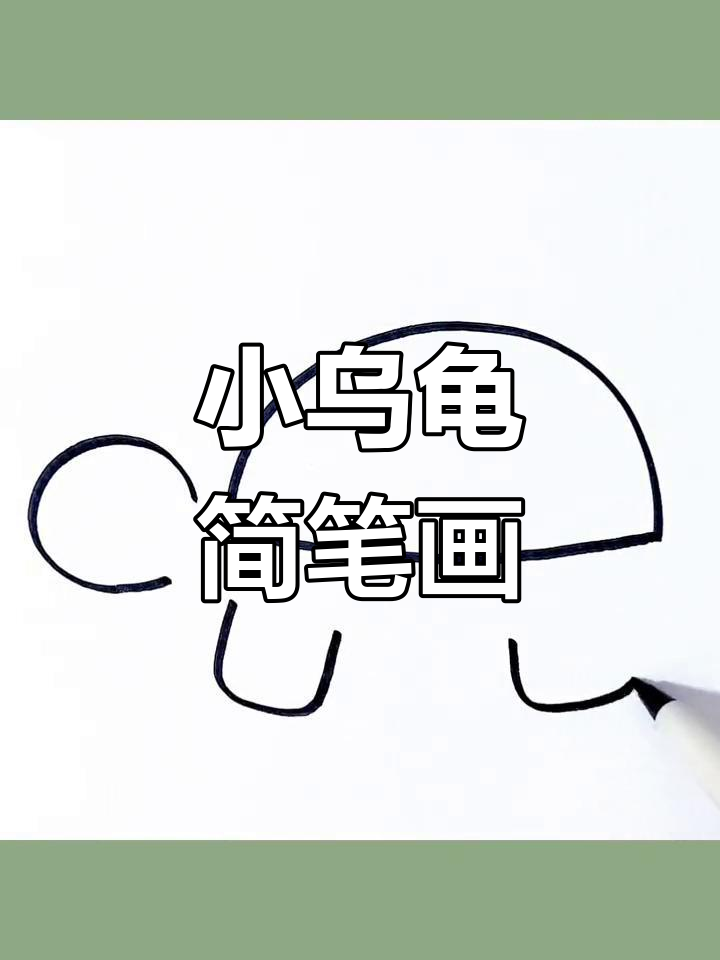 简单又可爱的乌龟画法,轻松学会