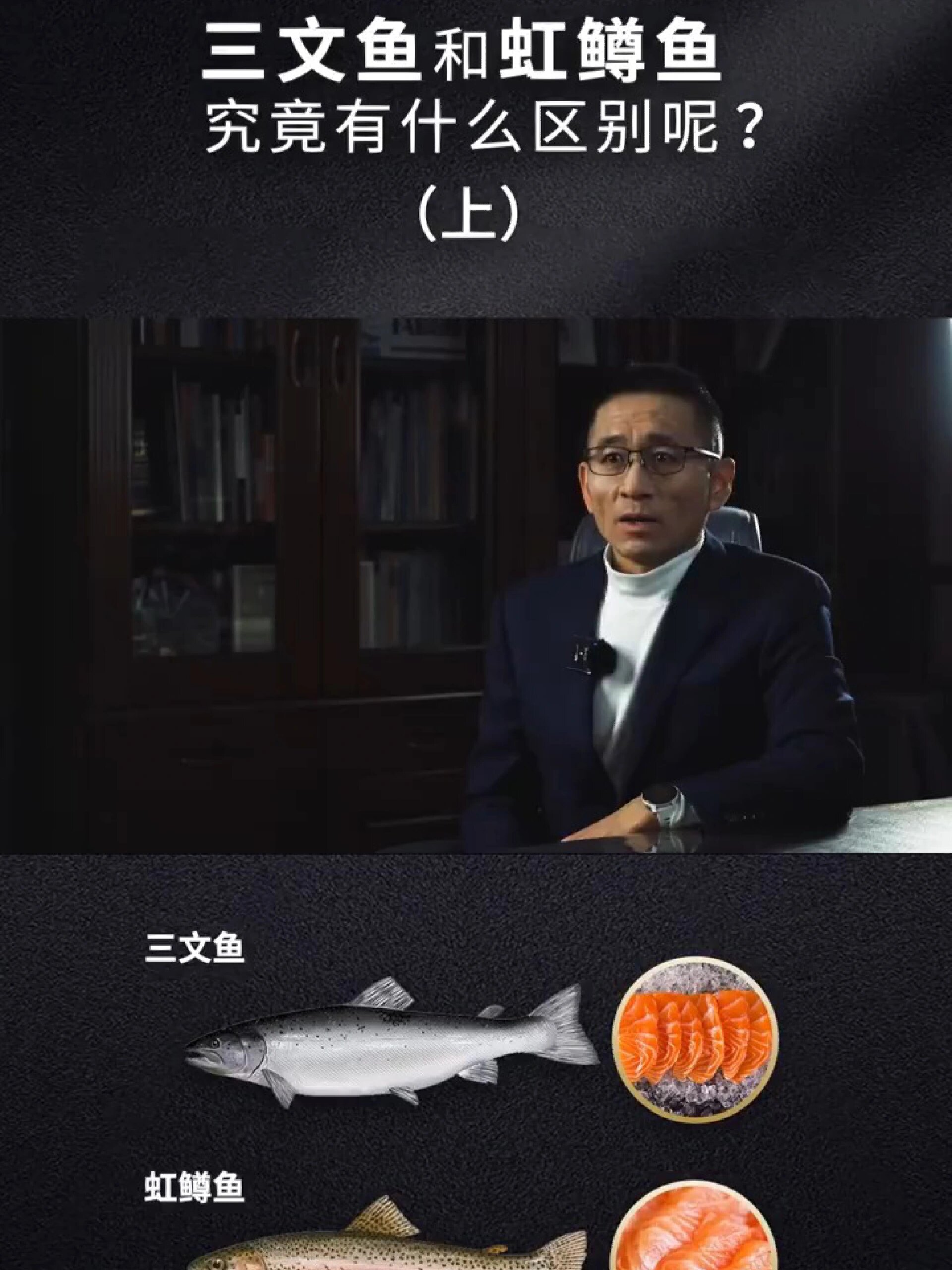 乔老爷说鱼|三文鱼和虹鳟鱼有什么区别呢?