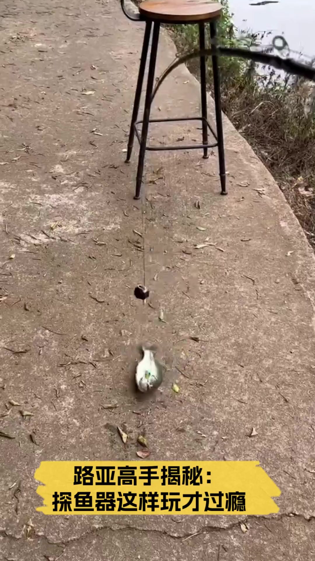 路亚高手揭秘:探鱼器这样玩才过瘾
