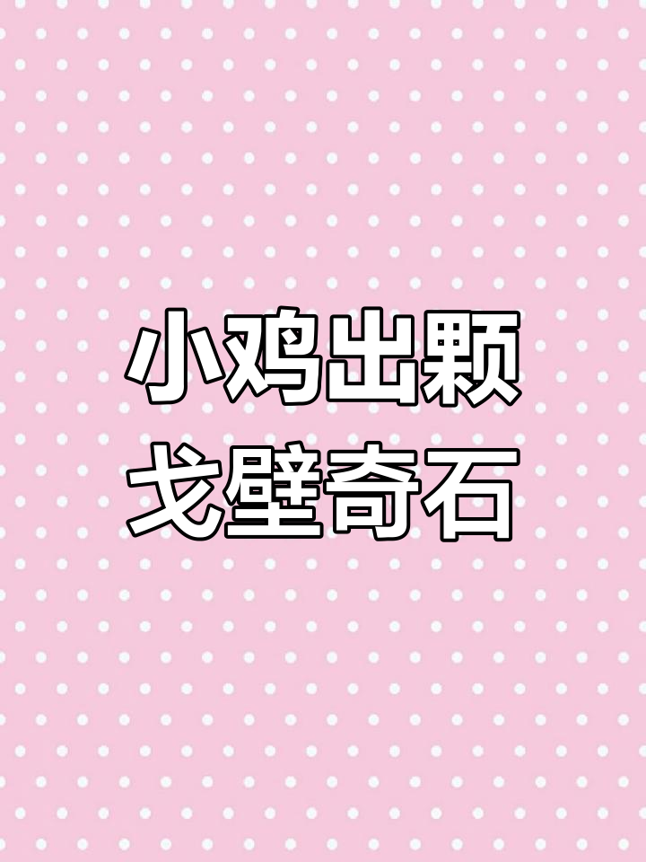 戈壁玛瑙小鸡出壳,天然奇石栩栩如生