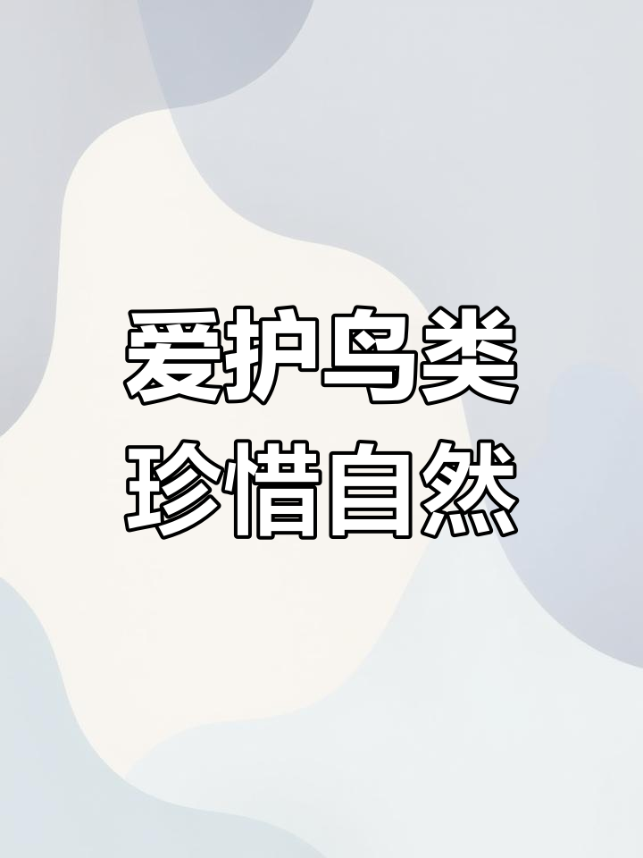 七彩山鸡母鸟叫声欣赏,呼吁保护野生动物