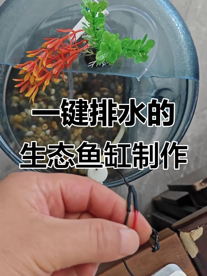 纯净水桶改造鱼缸,一键排水与自动循环系统教程