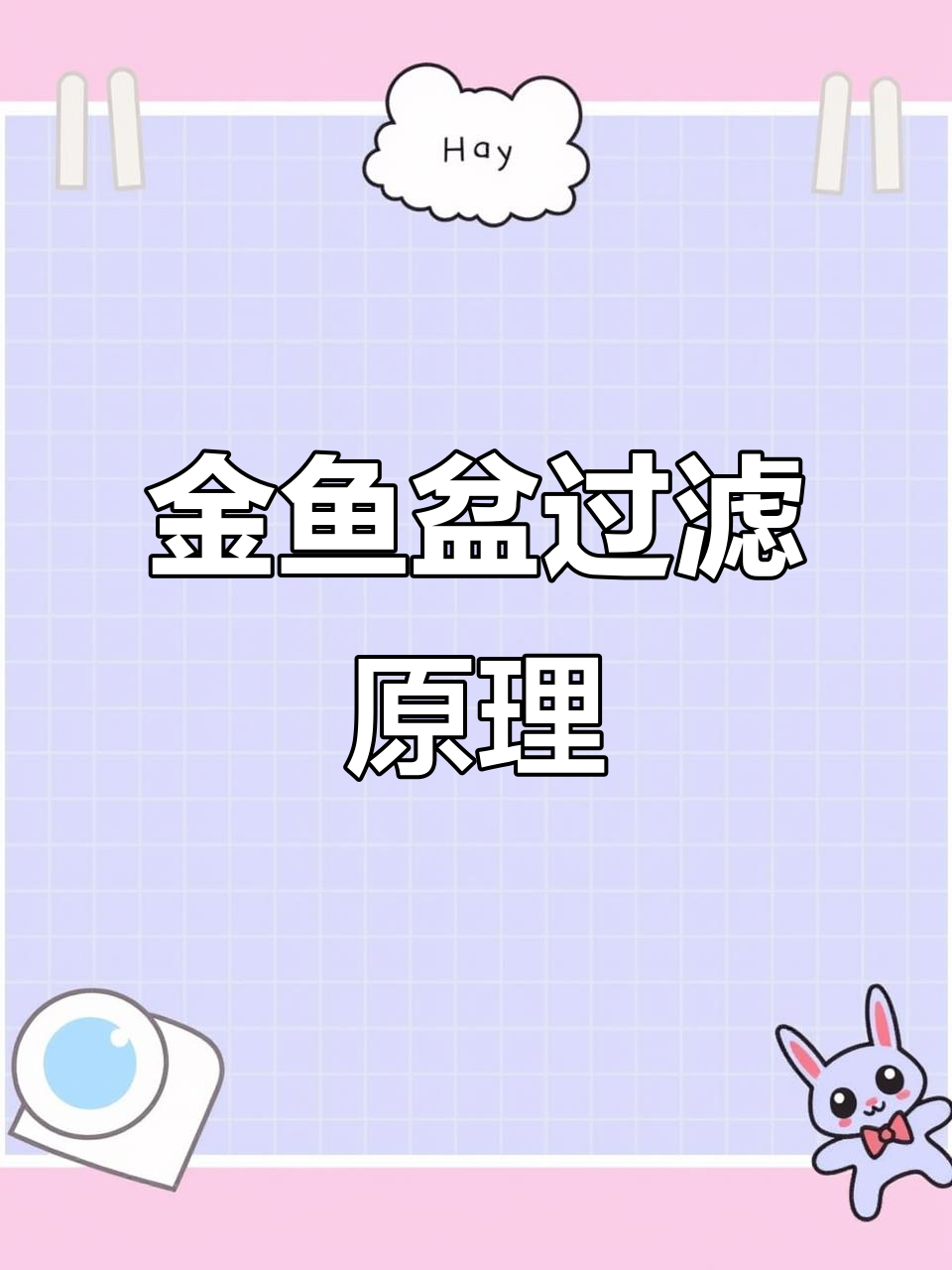 定制金鱼盆过滤系统揭秘,轻松解决水质问题