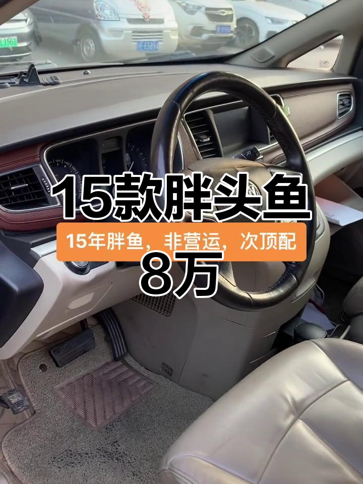 2015年胖头鱼,次顶配新车价格仅八万