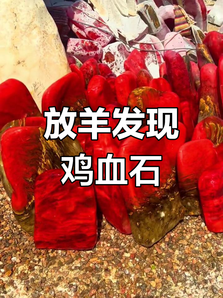 放羊捡到鸡血石,原石效果惊艳!