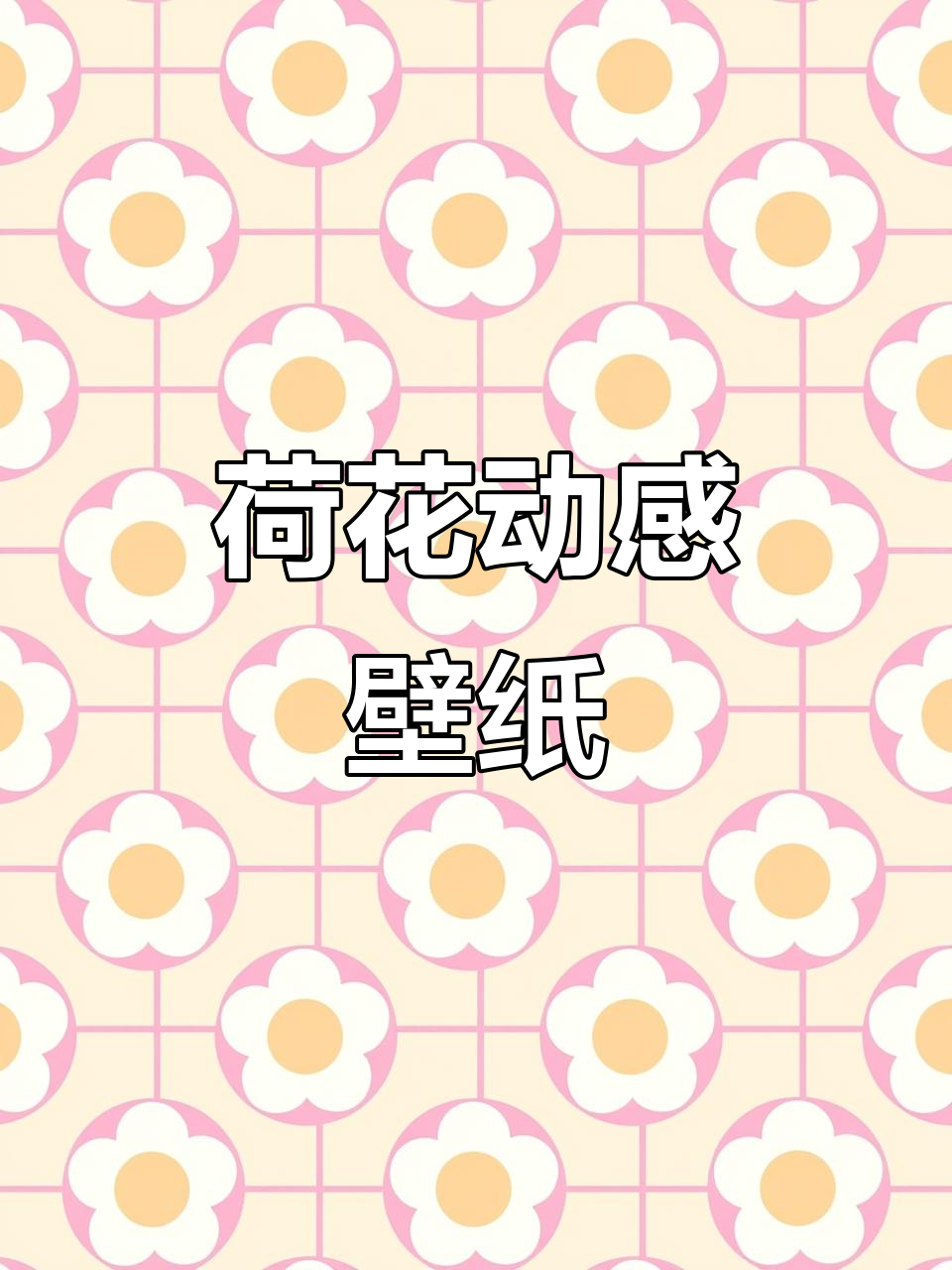 2月29日雨润荷塘动态壁纸,尽显传统之美