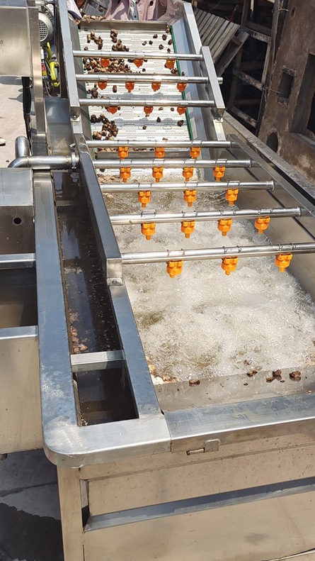 蔬菜气泡清洗机 净菜加工设备流水线 全自动洗菜机