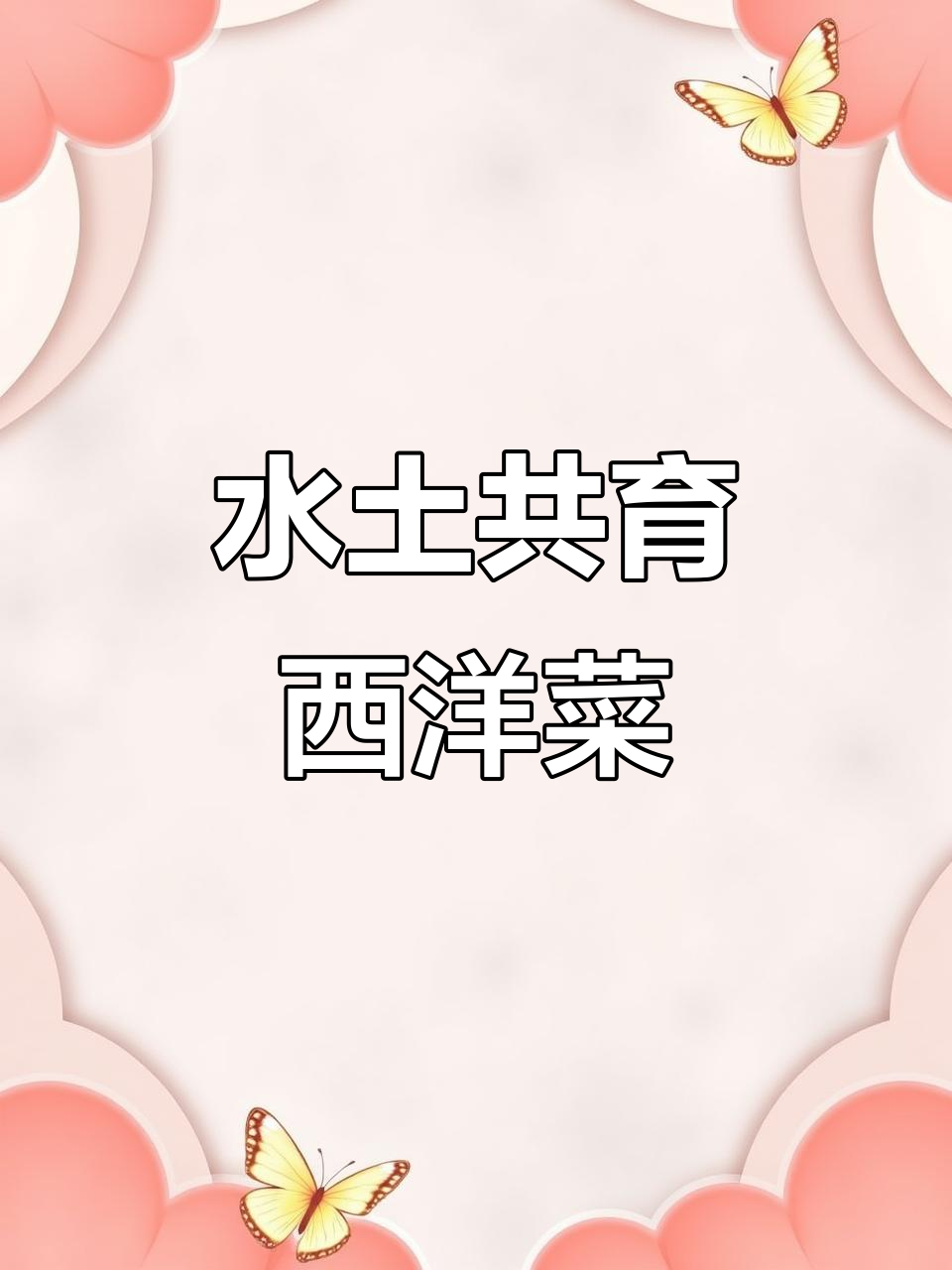 西洋菜种植,水陆皆宜,保持湿润环境至关重要