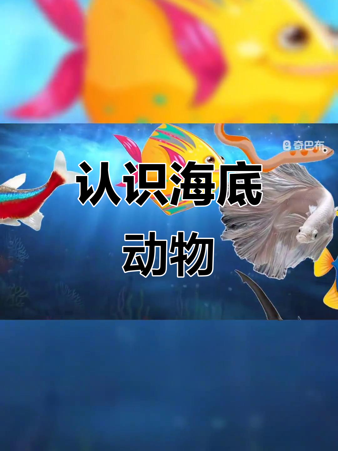 小朋友眼中的海底动物大揭秘,蓝藻鱼、蝴蝶鱼和章鱼的奇妙世界