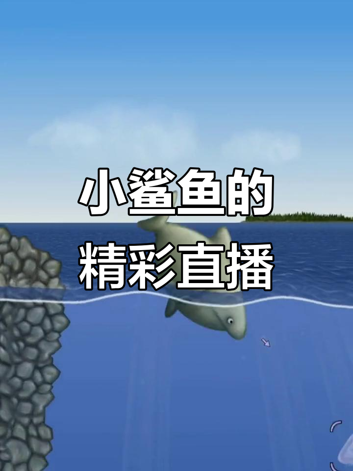 饥饿小鲨鱼直播大冒险，海鸥水懒全登场！