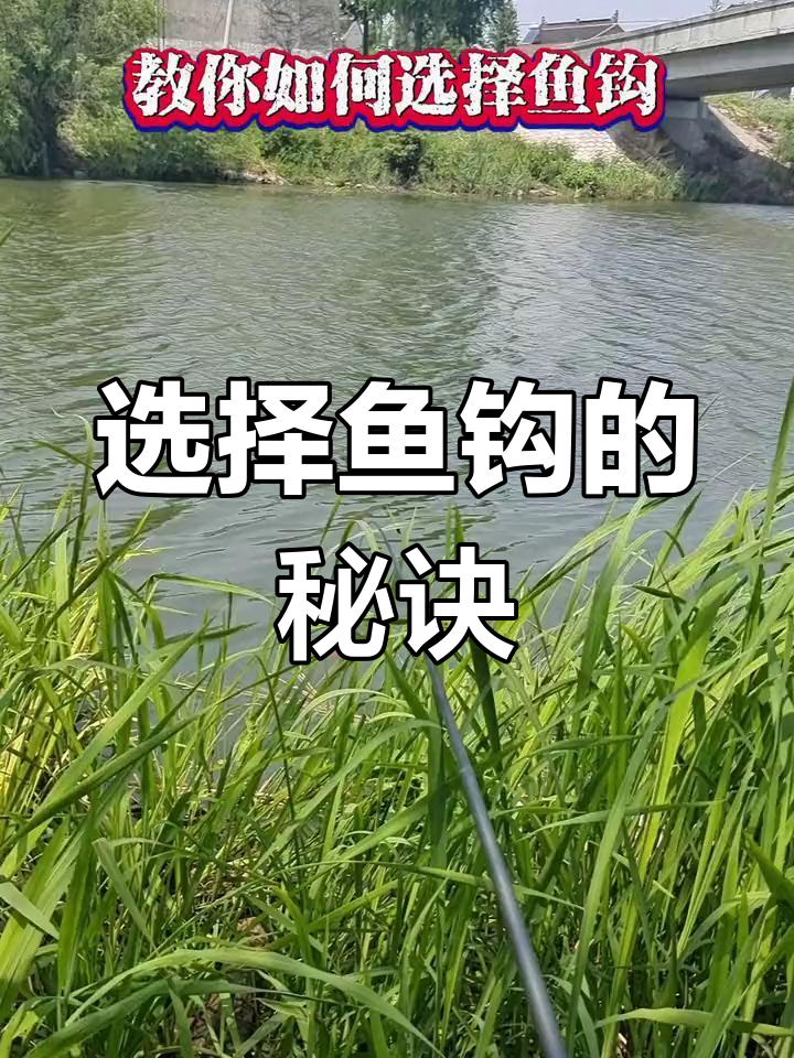 如何挑选鱼钩?钓鱼小技巧大公开