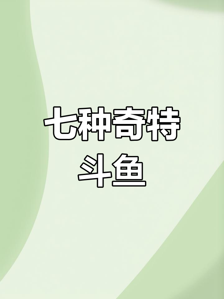 斗鱼种类大揭秘,神奇尾巴背后的秘密