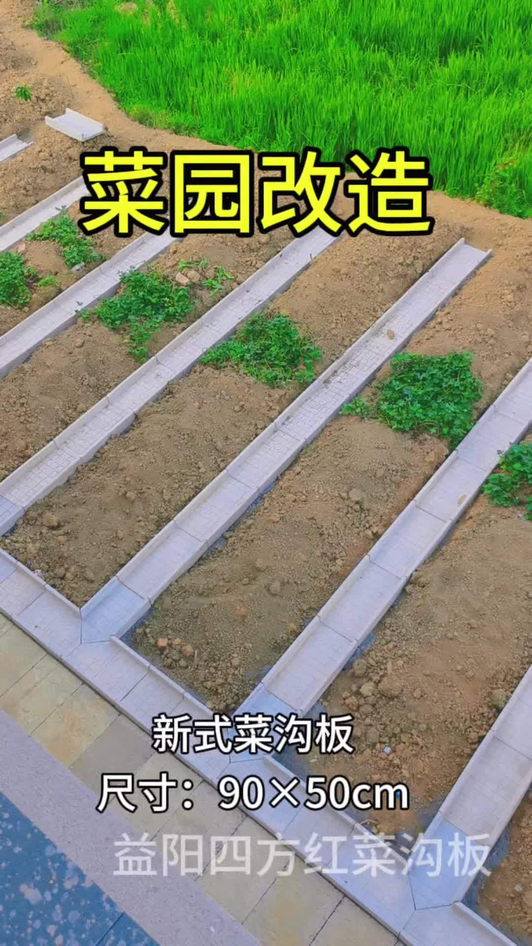 菜沟板 农村小院改造 菜园 小院改造 别墅花园设计