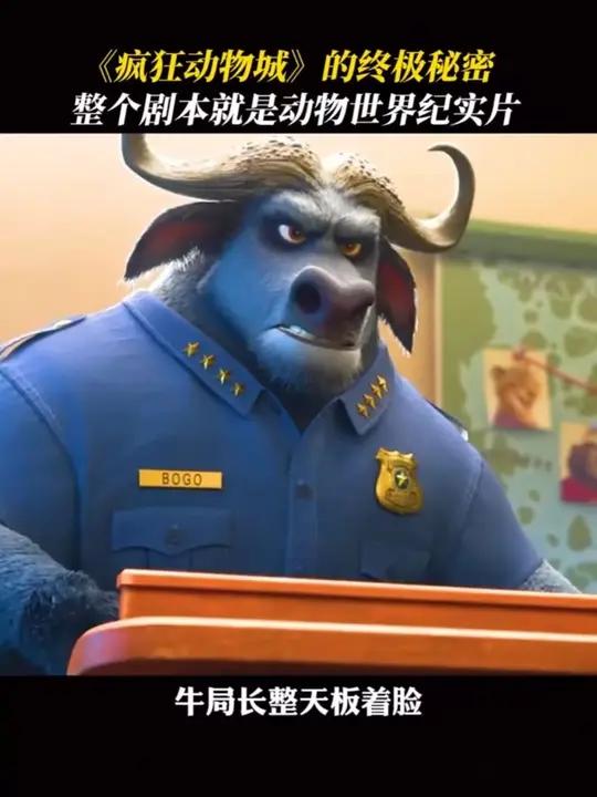 不是拟人是本色!疯狂动物城角色背后的动物本能藏不住了