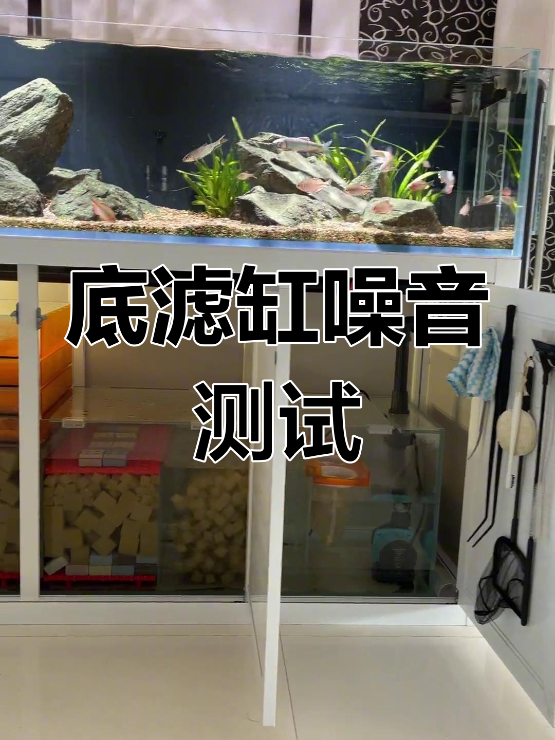 底滤缸噪音实测,如何调整水流减少噪声