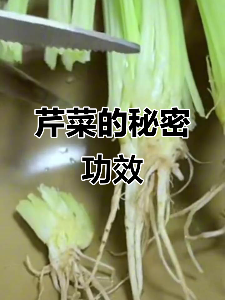芹菜根的神奇作用,煮水喝竟然有这么多好处