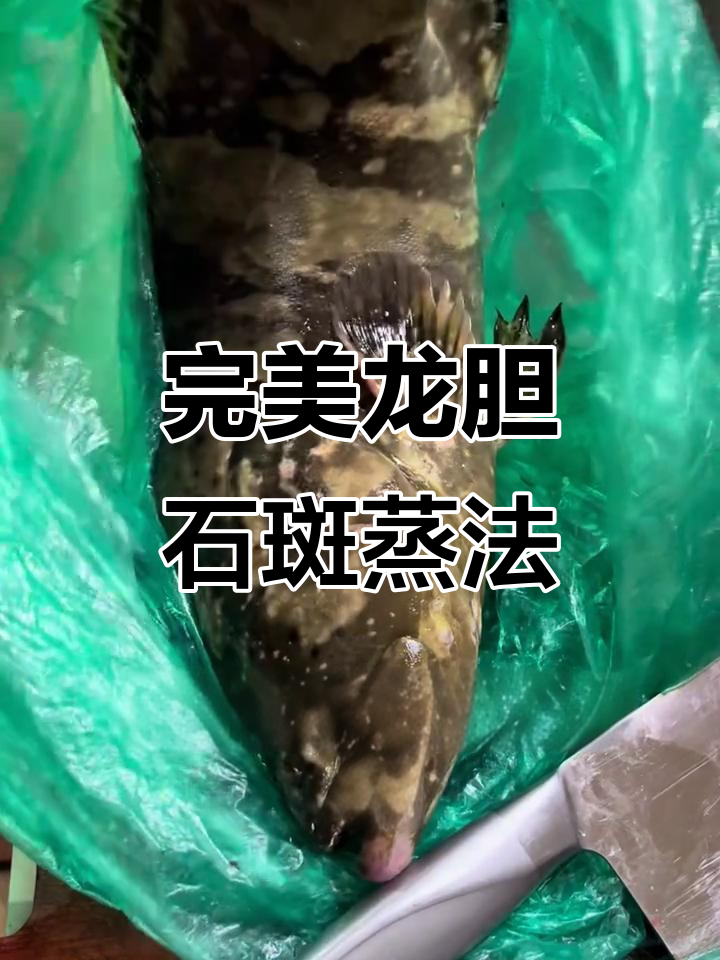 龙趸石斑鱼蒸法大揭秘,鲜香入味超简单