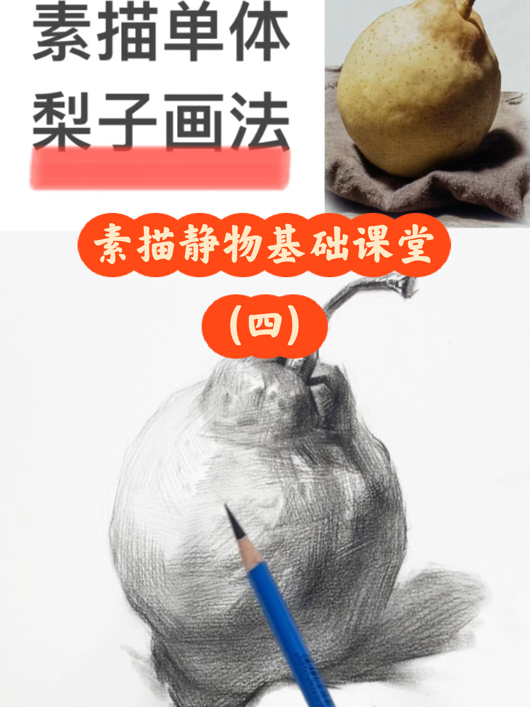素描静物基础课堂(四)之梨子画法