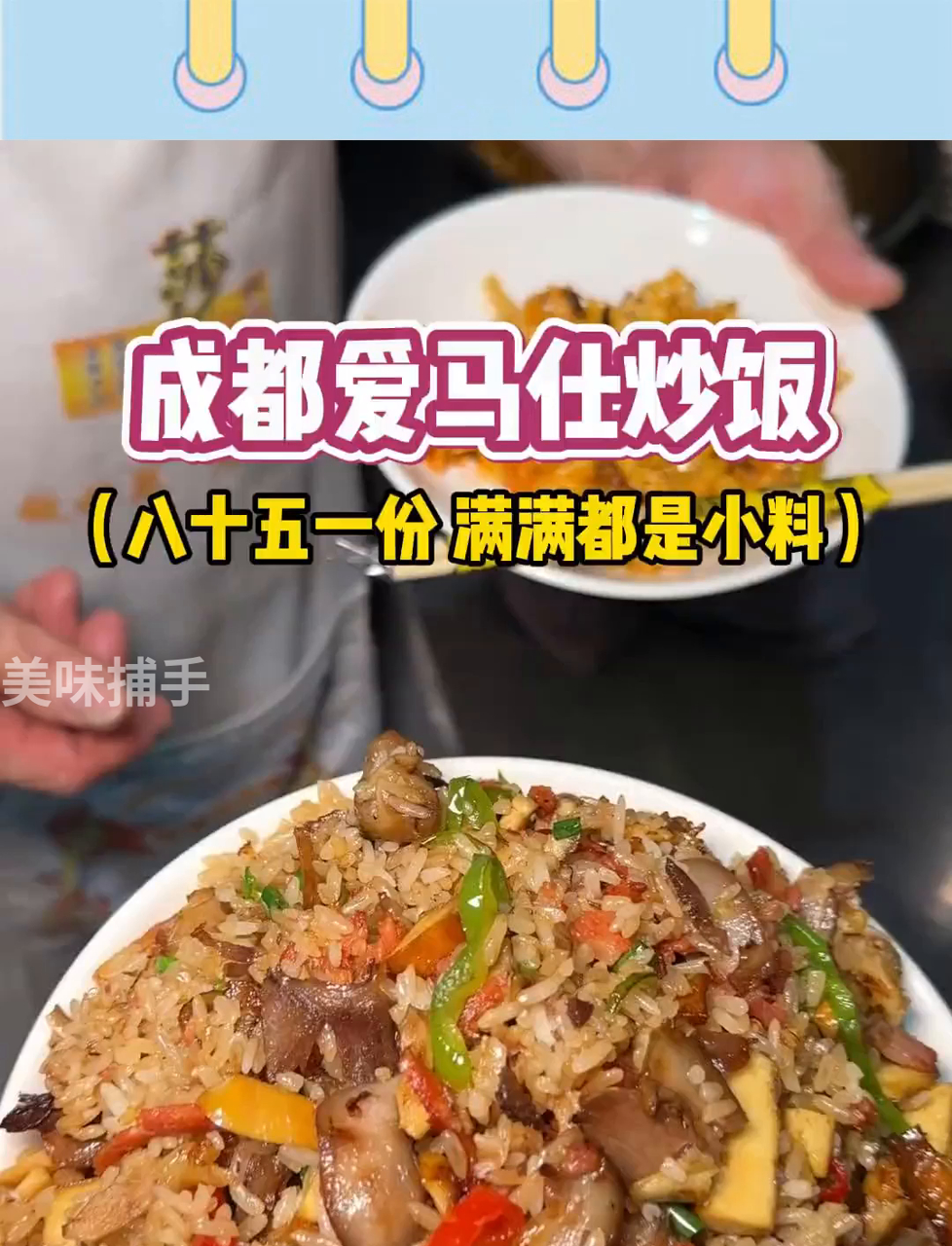 成都街边85元一份的爱马仕蛋炒饭，十几种配料，大家说值不值？