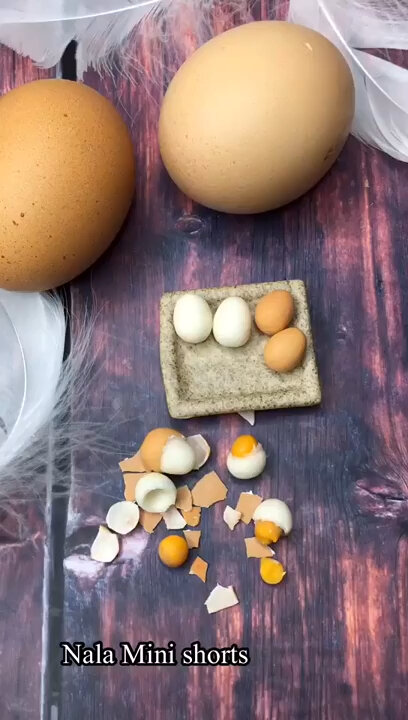 手工制作鸡蛋模型
