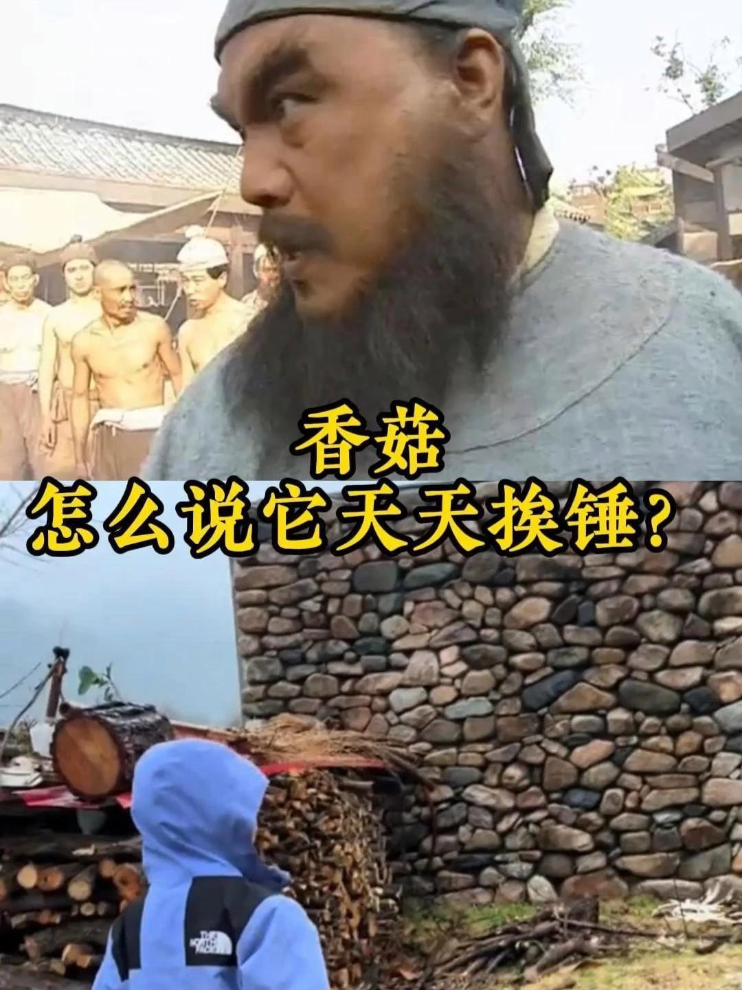 香菇怎么说它天天挨锤?香菇