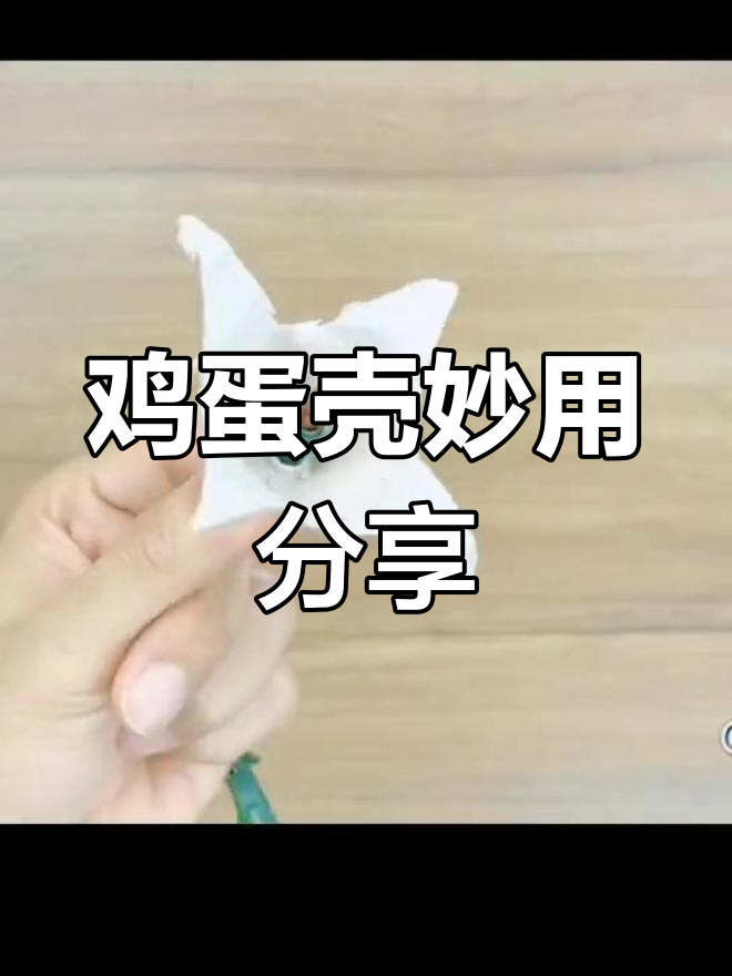 鸡蛋壳的7种创意用途,轻松变废为宝