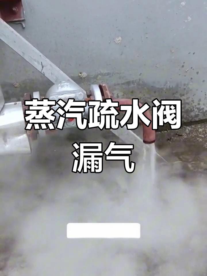 蒸汽疏水阀泄漏原因及解决方法