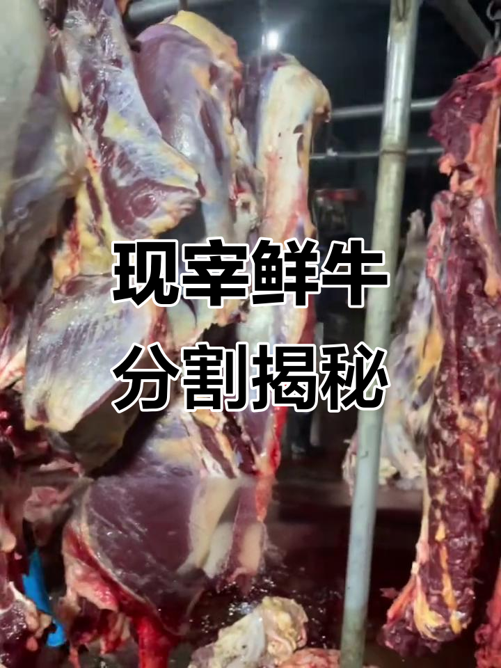 新鲜黄牛肉分割现场,师傅手艺精湛一刀见血