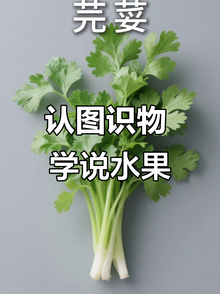宝宝学说话,认识蔬菜水果,轻松记住蔬菜名称