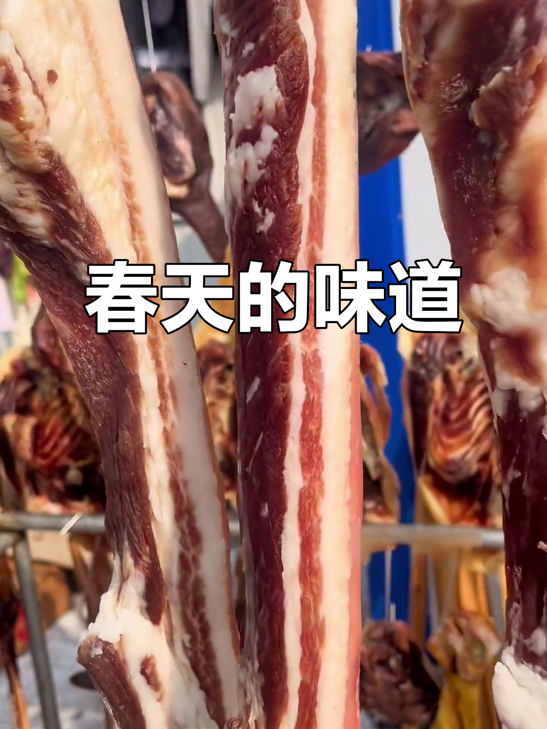 春天里,家乡的蒿子粑粑香气扑鼻,让人回味无穷