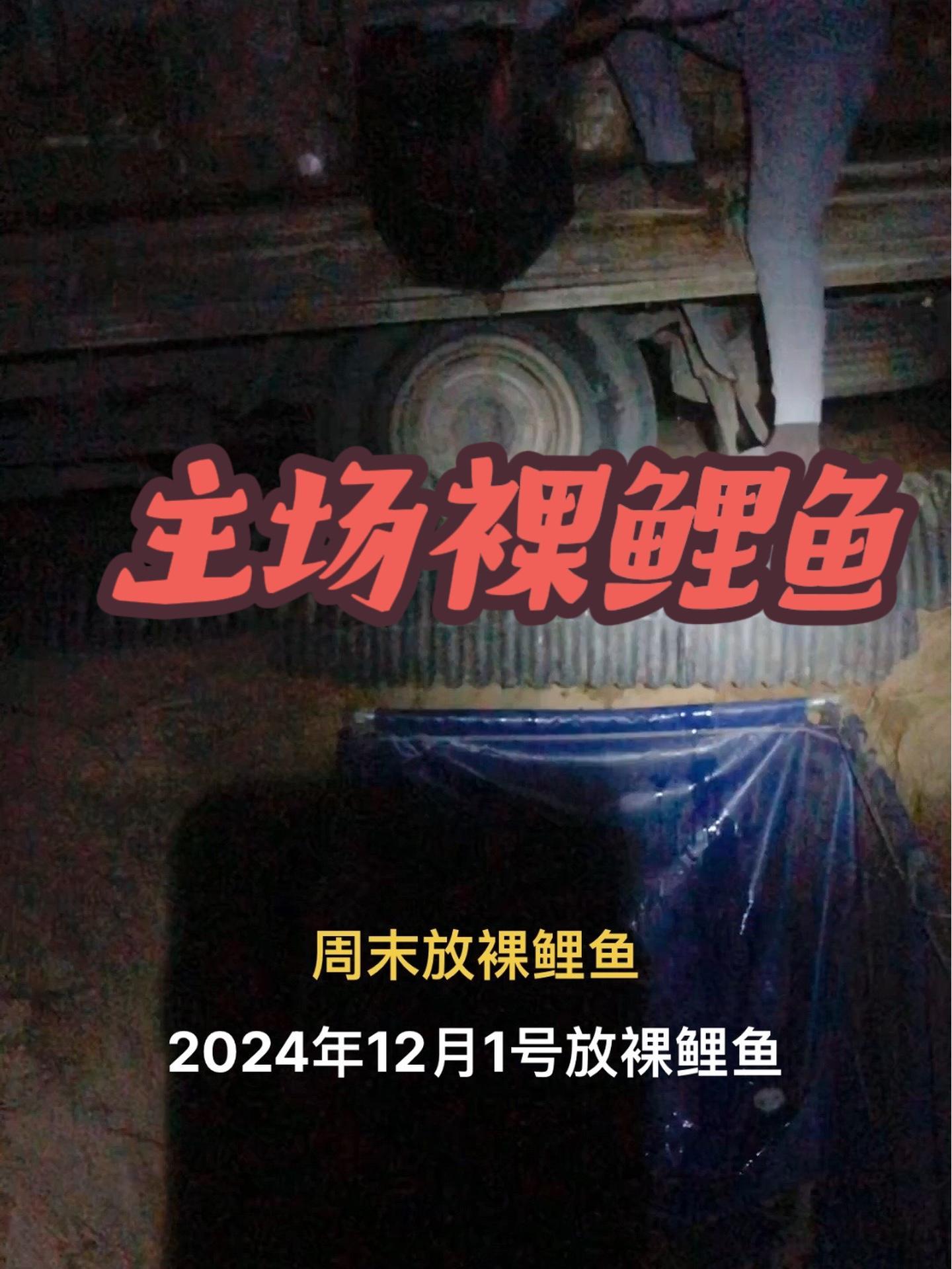 放鱼 冬钓鲫鱼 裸鲤 垂钓园 花园口休闲垂钓主场放裸鲤鱼
